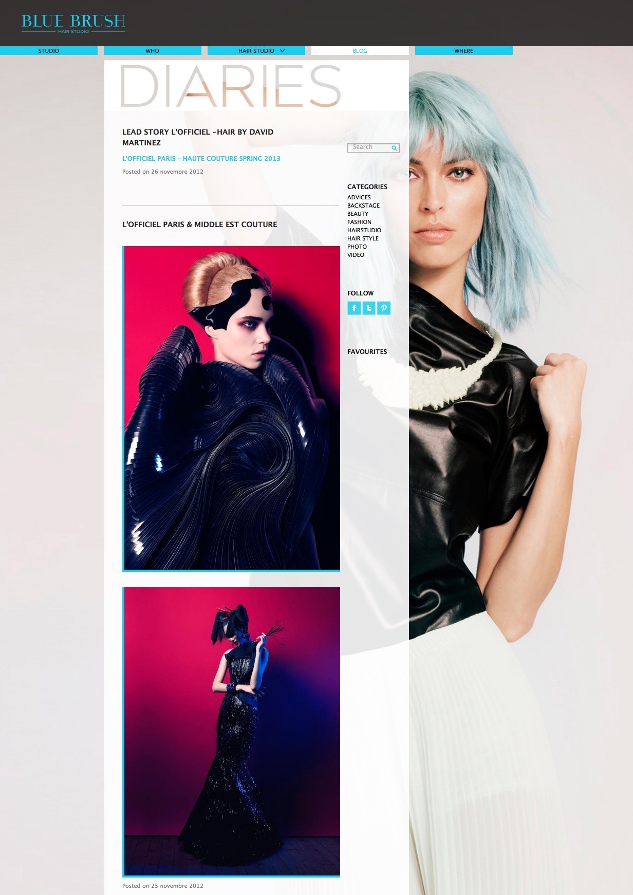 Blue Brush Hair Studio akiprod > création site web